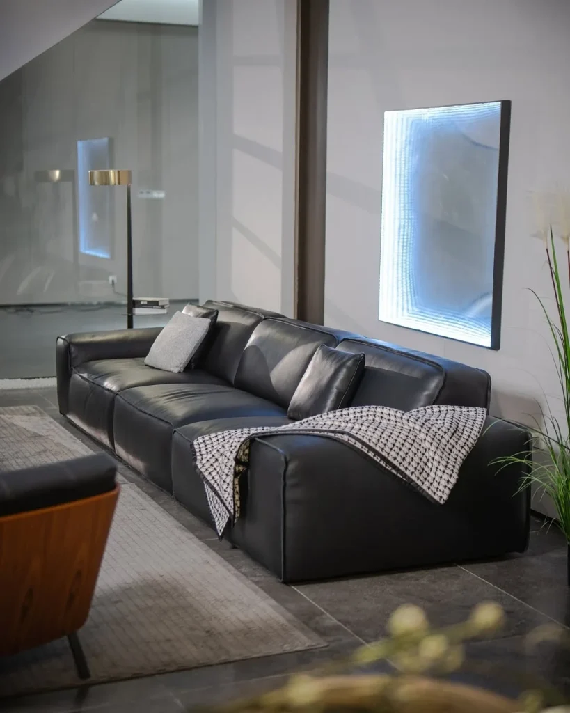 Leather couch living room