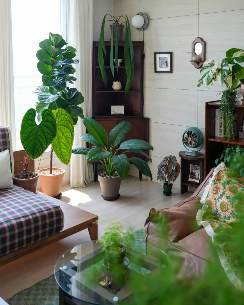 Organic living room plants