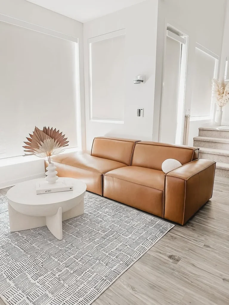 Leather couch living room