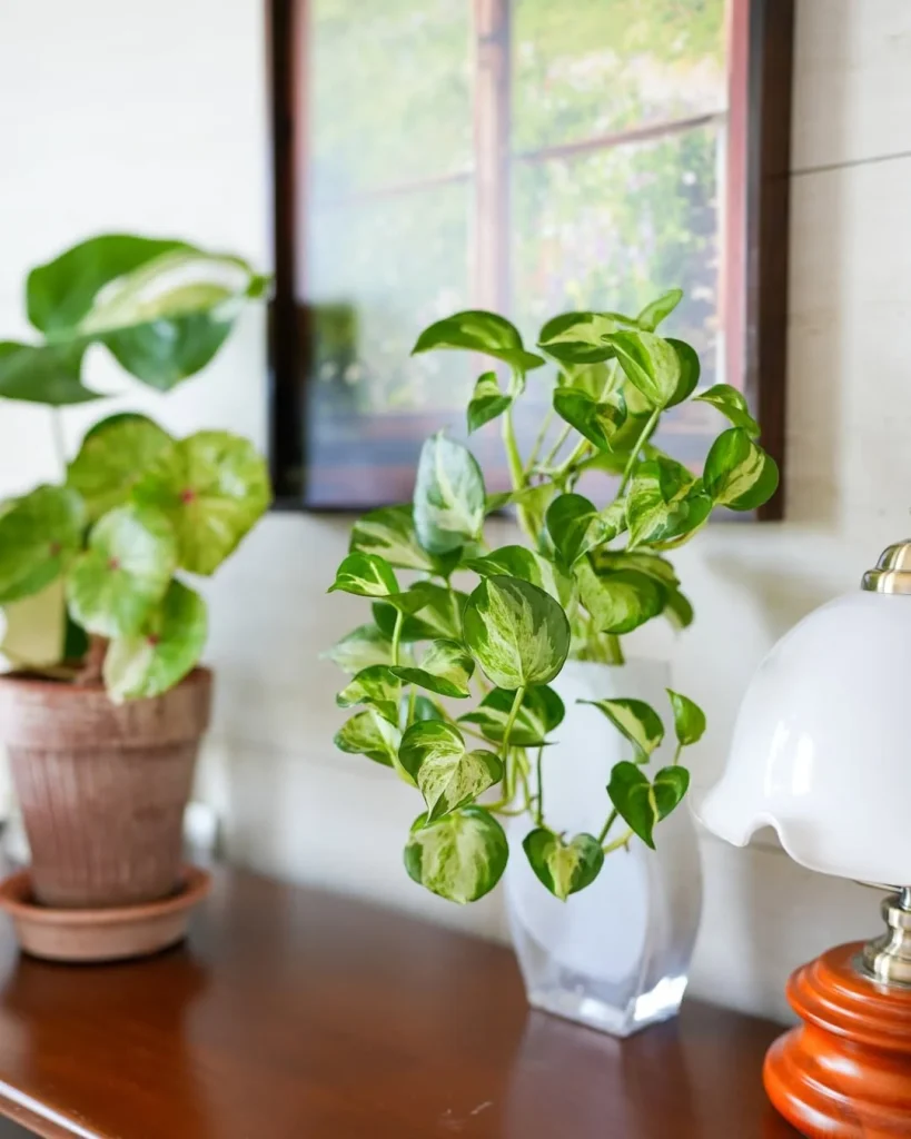Living room decor